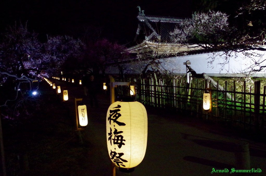 弘道館公園のライトアップ