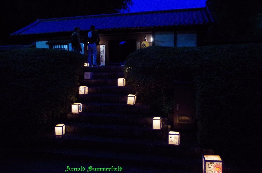 鷹見泉石記念館への階段